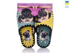 Women's felt slippers 5-144, Fashion, 36/37, Close, Felt, Dogs
