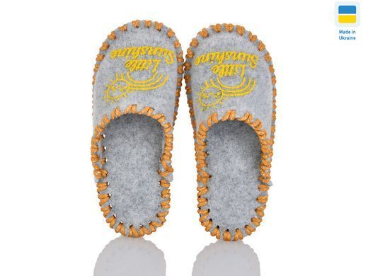 Children's felt slippers 040 gray, Economy, 30/31, Close, Felt, For daughter