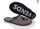 Men's felt slippers 323 beige, Economy, 40/41, Close, Felt, Lions