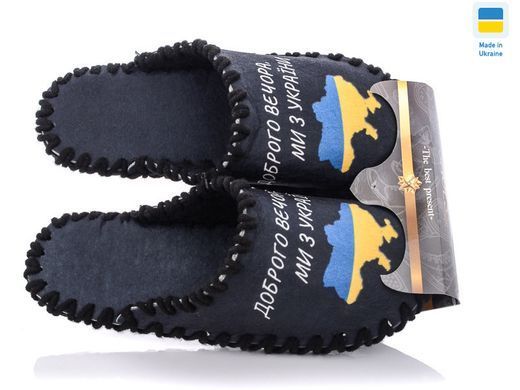 Men's felt slippers 7-161, Fashion, 38/39, Close, Felt, Patriotic