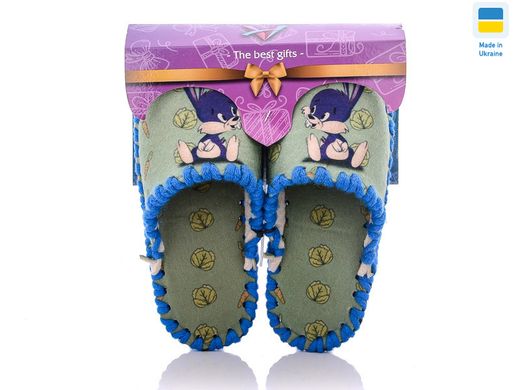 Children's felt slippers 849, 30/31, Fashion, VENDS, For boy, Felt, Demi, Close