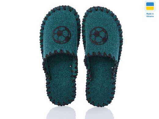 Men's felt slippers 376 green, Economy, 40/41, Close, Felt, Sport